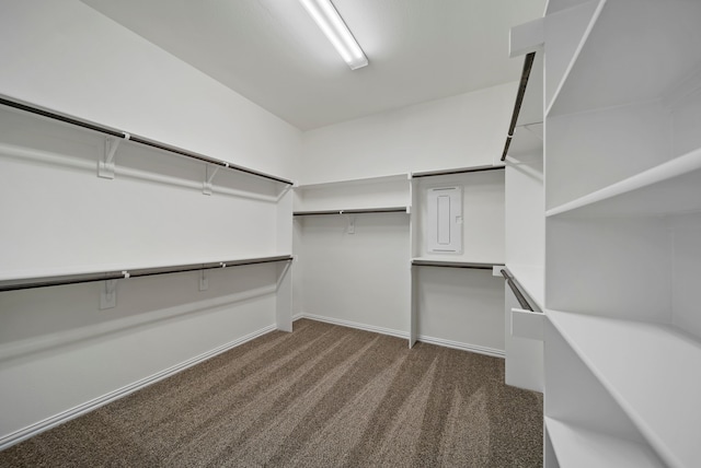 411 Solo Ridge Dr, Waxahachie, TX 75167 - walk in closet with carpet flooring