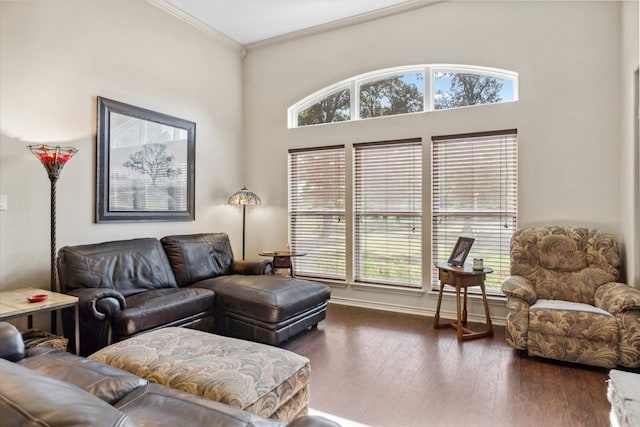 10040 Fm 17, Grand Saline, TX 75140 - living room with plenty of natural light, ornamental molding, wood finished floors, and baseboards