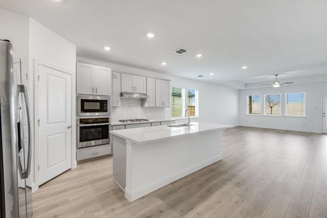 1220 Toro Ln, Fort Worth, TX 76052 - kitchen with appliances with stainless steel finishes, under cabinet range hood, a sink, light wood finished floors, and light countertops