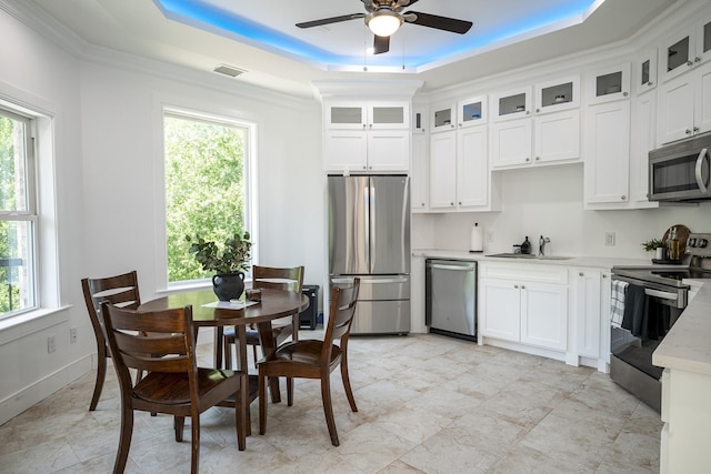 2415 Amberleaf Ct, Cedar Hill, TX 75104 - kitchen featuring stainless steel appliances, a sink, a raised ceiling, plenty of natural light, and crown molding