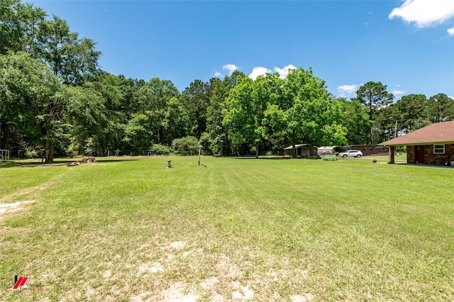 255 Barry Rd, Logansport, LA 71049 - view of grassy yard