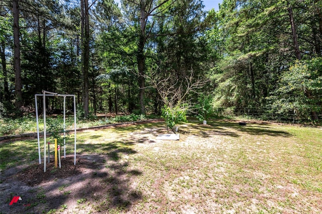 255 Barry Rd, Logansport, LA 71049 - view of grassy yard with a forest view
