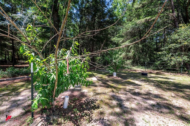 255 Barry Rd, Logansport, LA 71049 - view of yard featuring a view of trees