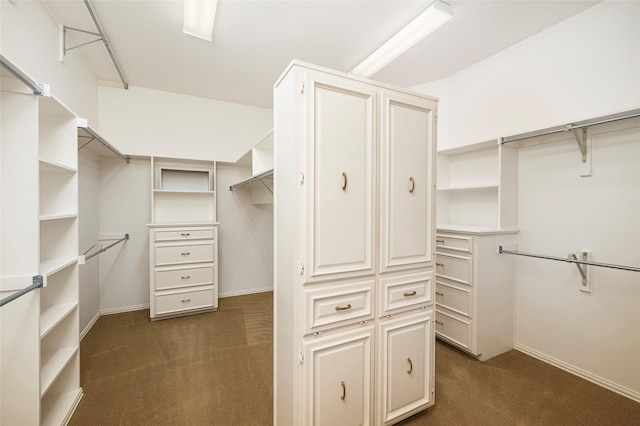 5115 Oak Tree Cir, Dallas, TX 75287 - walk in closet with dark colored carpet