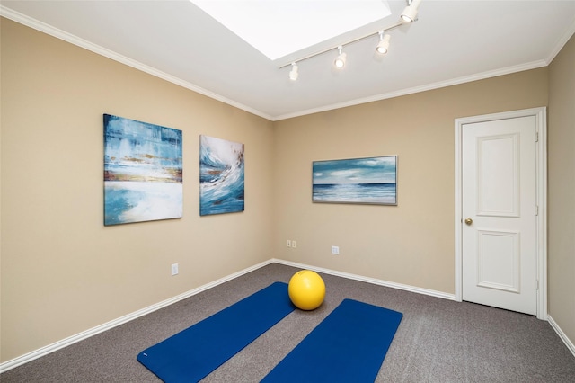 5115 Oak Tree Cir, Dallas, TX 75287 - workout room featuring ornamental molding, baseboards, carpet flooring, and rail lighting