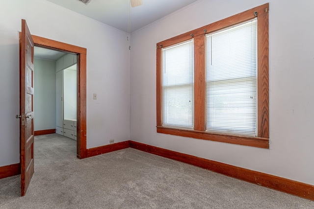 732 N Patrick St, Dublin, TX 76446 - spare room with carpet flooring, baseboards, ornamental molding, and ceiling fan
