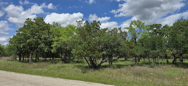 691 Glenhollow Dr, Gordon, TX 76453