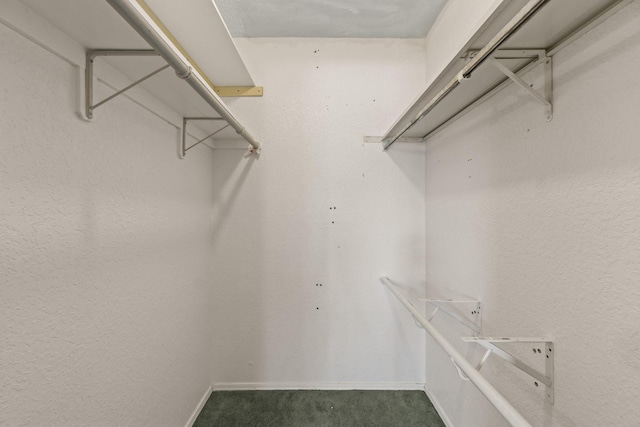 4006 Fletcher Dr, Garland, TX 75044 - spacious closet with carpet flooring
