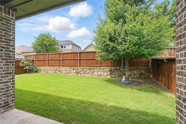 7817 Fossil Creek Trl, Mckinney, TX 75071 - view of yard