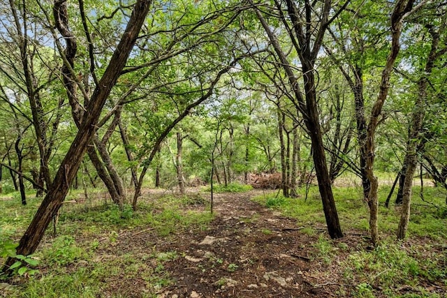 114 Deer Run, Moody, TX 76557 - view of wooded area