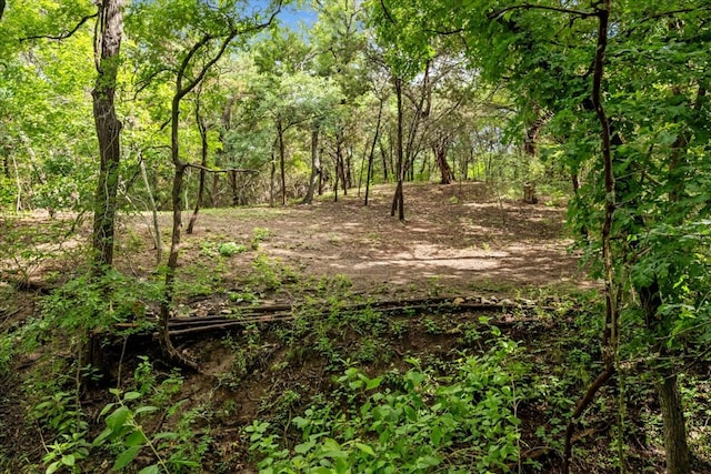 114 Deer Run, Moody, TX 76557 - view of undeveloped land