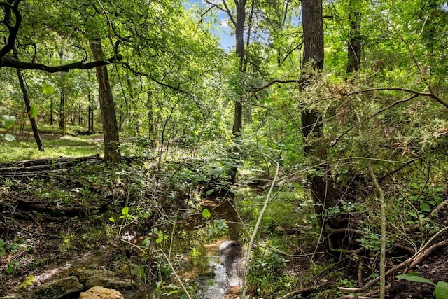 114 Deer Run, Moody, TX 76557 - view of local wilderness