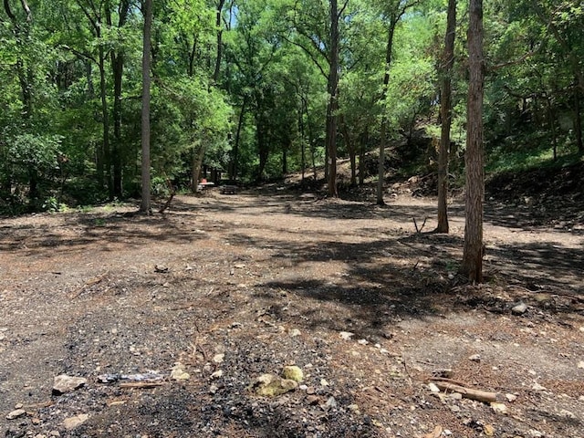 114 Deer Run, Moody, TX 76557 - view of woods