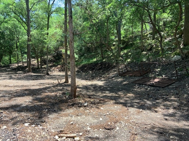 114 Deer Run, Moody, TX 76557 - view of local wilderness
