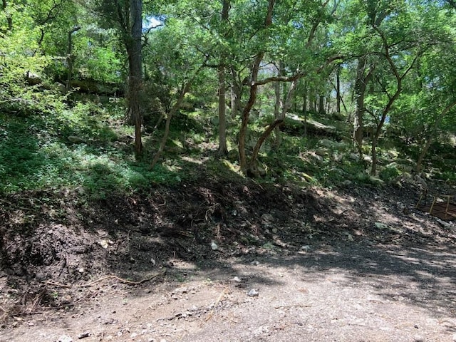 114 Deer Run, Moody, TX 76557 - view of tree filled area