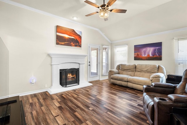 14137 Playa Trl, Fort Worth, TX 76052 - living room with ceiling fan, wood finished floors, a lit fireplace, lofted ceiling, and baseboards