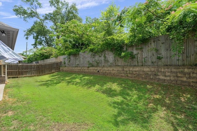 2939 Meadow Brook Trl, Tyler, TX 75701 - view of yard
