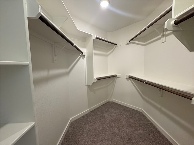 4049 Rimfire Rd, Waco, TX 76705 - spacious closet featuring dark carpet
