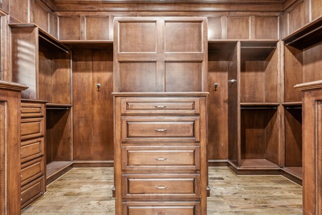 44 Armstrong Dr, Frisco, TX 75034 - spacious closet with wood finished floors