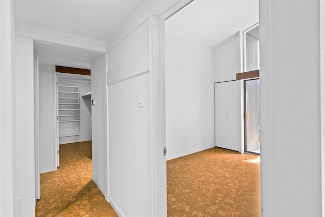1703 E Barbara St, Tyler, TX 75701 - hall with carpet floors