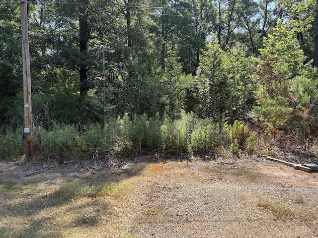 134 E Cloverleaf, Haughton, LA 71037