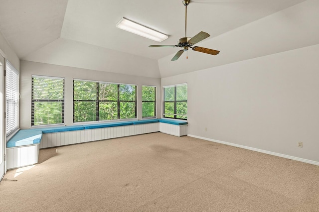 3410 Timbermill Rd, Waco, TX 76710 - unfurnished sunroom featuring plenty of natural light, lofted ceiling, and radiator