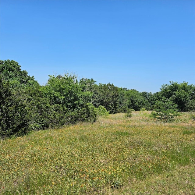 1441 Lakeside Trl, Whitney, TX 76692