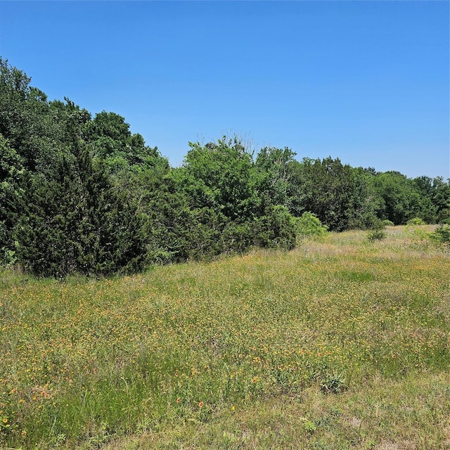 1441 Lakeside Trl, Whitney, TX 76692