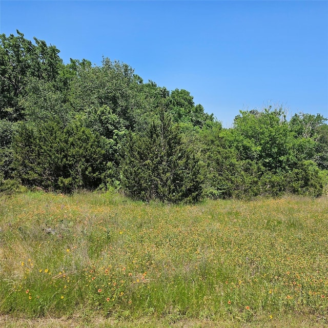 1441 Lakeside Trl, Whitney, TX 76692