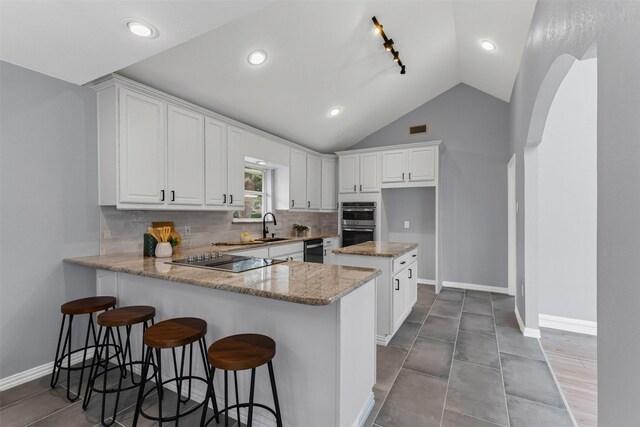2100 Scarlet Oak Dr, Richardson, TX 75081 - kitchen with black appliances, a sink, a peninsula, light stone counters, and backsplash