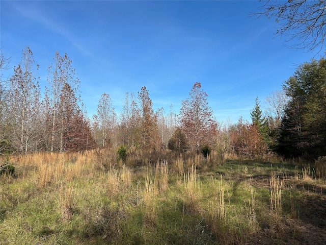 tractA County Road 1412, Bogata, TX 75426