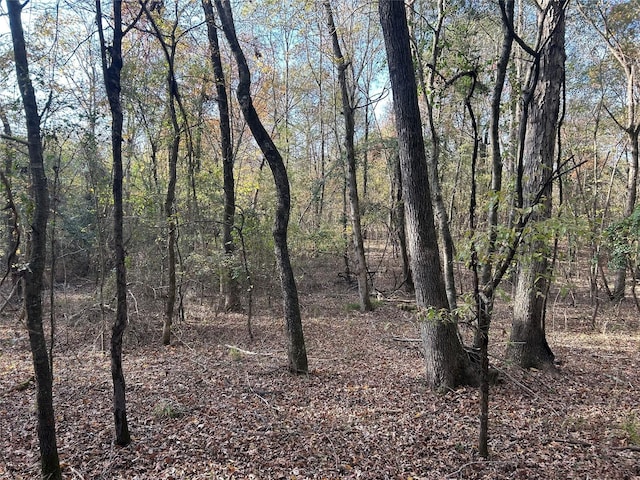 tractA County Road 1412, Bogata, TX 75426