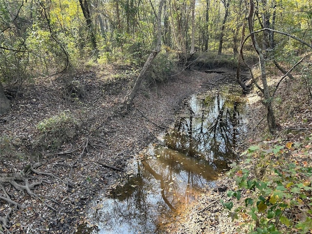 tractA County Road 1412, Bogata, TX 75426