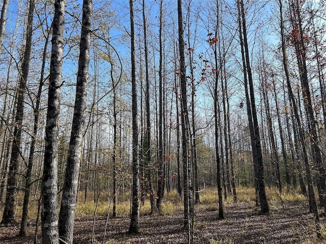 tractA County Road 1412, Bogata, TX 75426