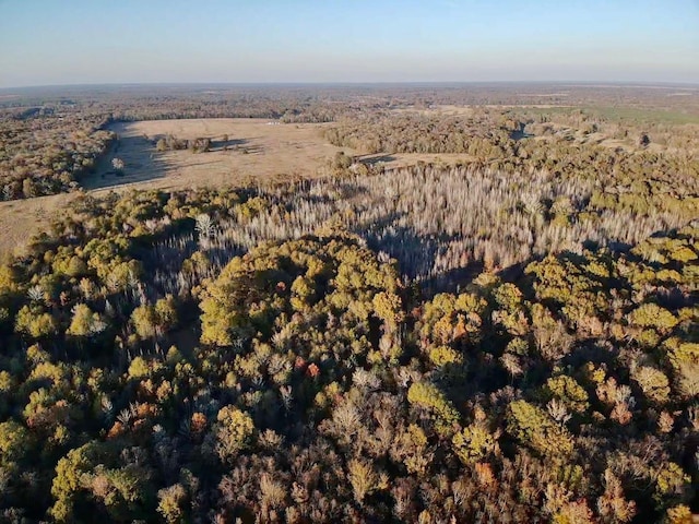 tractA County Road 1412, Bogata, TX 75426