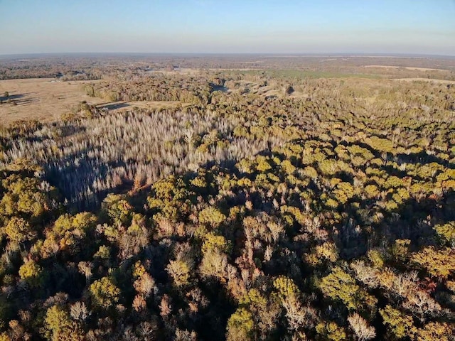 tractA County Road 1412, Bogata, TX 75426