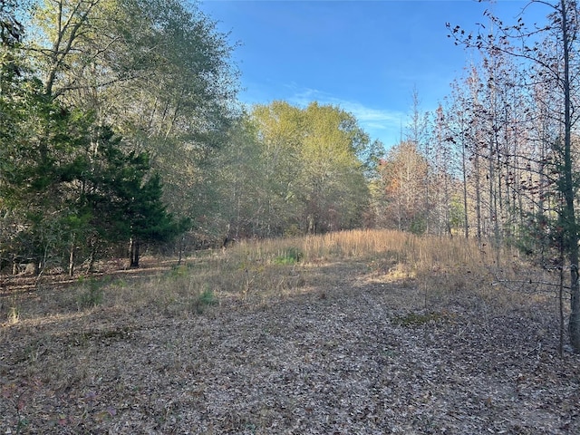 tractA County Road 1412, Bogata, TX 75426