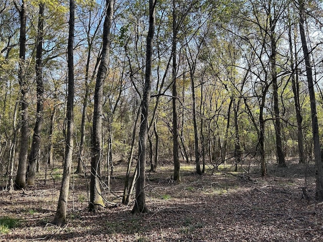 tractA County Road 1412, Bogata, TX 75426