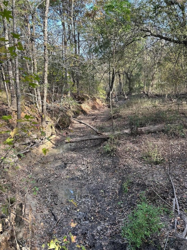 tractA County Road 1412, Bogata, TX 75426