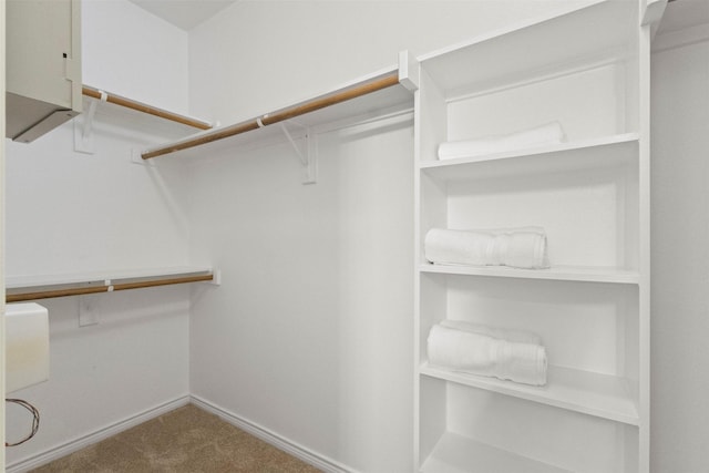 1713 Westfield Way, Allen, TX 75002 - walk in closet with carpet flooring