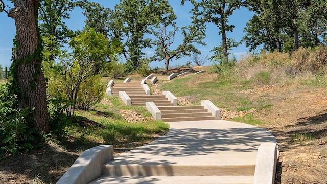 6313 Savannah Oak Trl, Flower Mound, TX 76226 - view of home's community with stairs