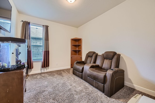 1217 Burlingame Dr, Cleburne, TX 76033 - sitting room with baseboards, carpet flooring, and lofted ceiling