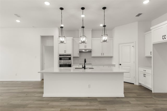 805 Roanoke, Princeton, TX 75407 - kitchen with stainless steel double oven, tasteful backsplash, light countertops, recessed lighting, and under cabinet range hood