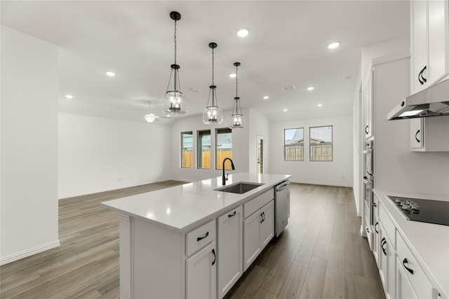 805 Roanoke, Princeton, TX 75407 - kitchen featuring black electric cooktop, dishwasher, healthy amount of natural light, light wood-style flooring, and recessed lighting