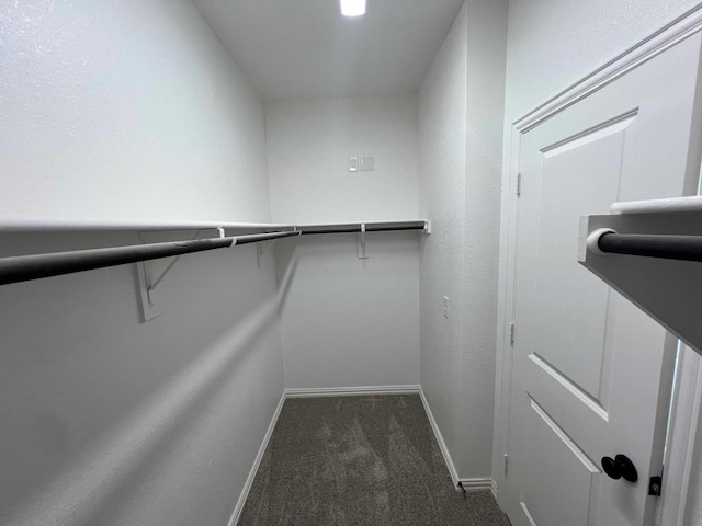 805 Roanoke, Princeton, TX 75407 - walk in closet with carpet