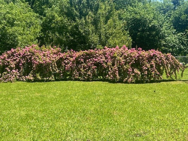 218 Wight St, Roxton, TX 75477 - view of yard