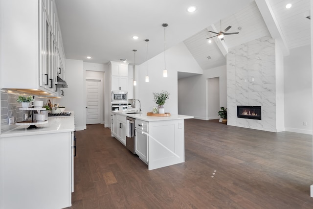 124 Craigmore Dr, Argyle, TX 76226 - kitchen with appliances with stainless steel finishes, a sink, ceiling fan, open floor plan, and baseboards