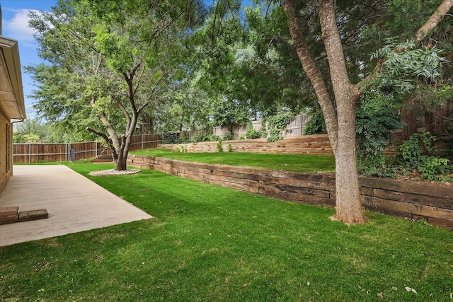3812 Ridgemont Ln, Denton, TX 76210 - view of yard featuring a patio area