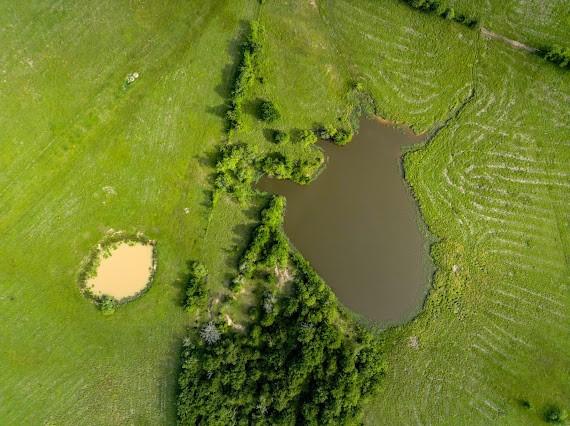 70/-ACRES Turner, Franklin, TX 77856