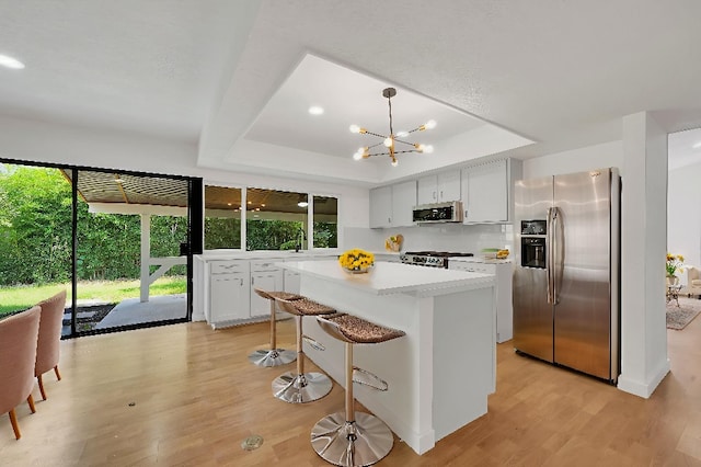 3008 Lindbergh Dr, Dallas, TX 75228 - kitchen with stainless steel appliances, a tray ceiling, light wood finished floors, and light countertops
